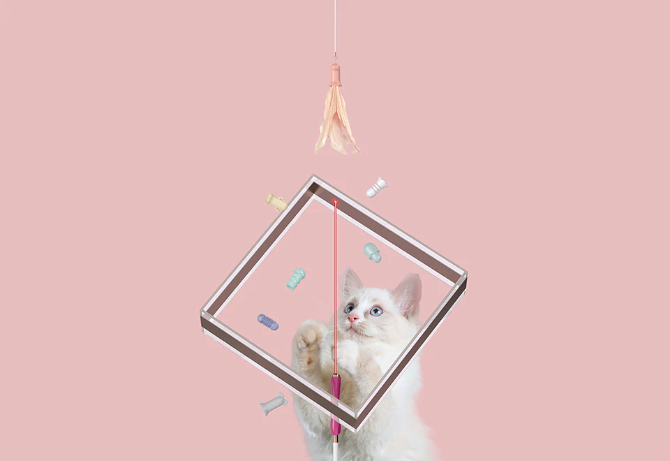 10-in-1 Extendable Cat Laser and Teaser