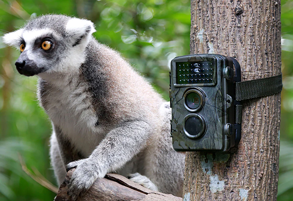 1080p Nature Trail Camera