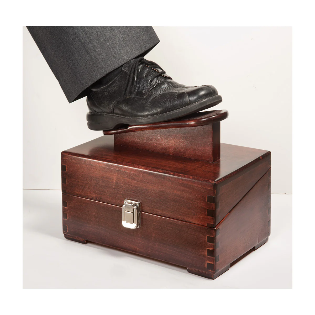 Classic Shoe Shine Kit