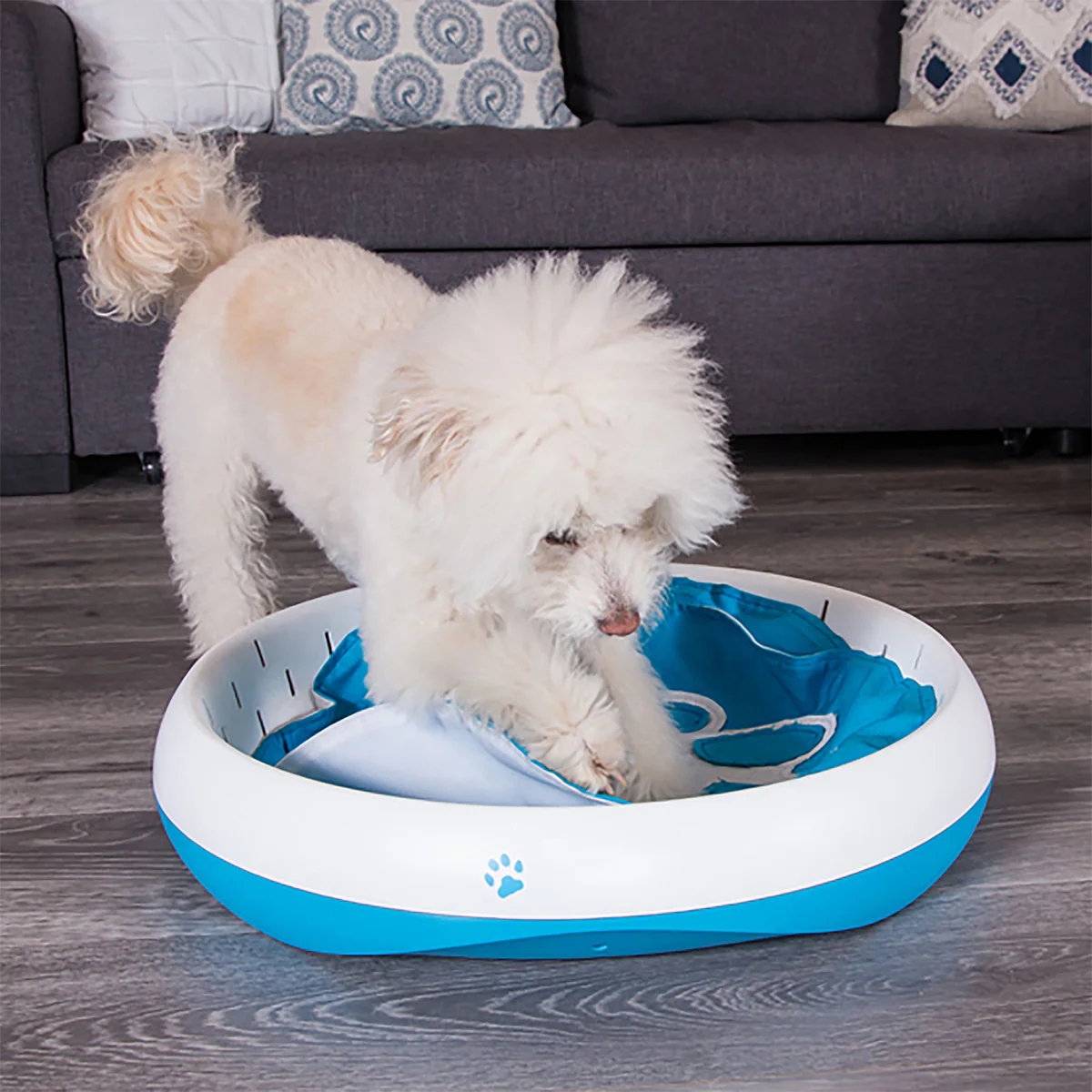 Digging Toy for Dogs